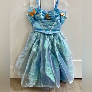 Disney Cinderella Dress (Limited Edition)